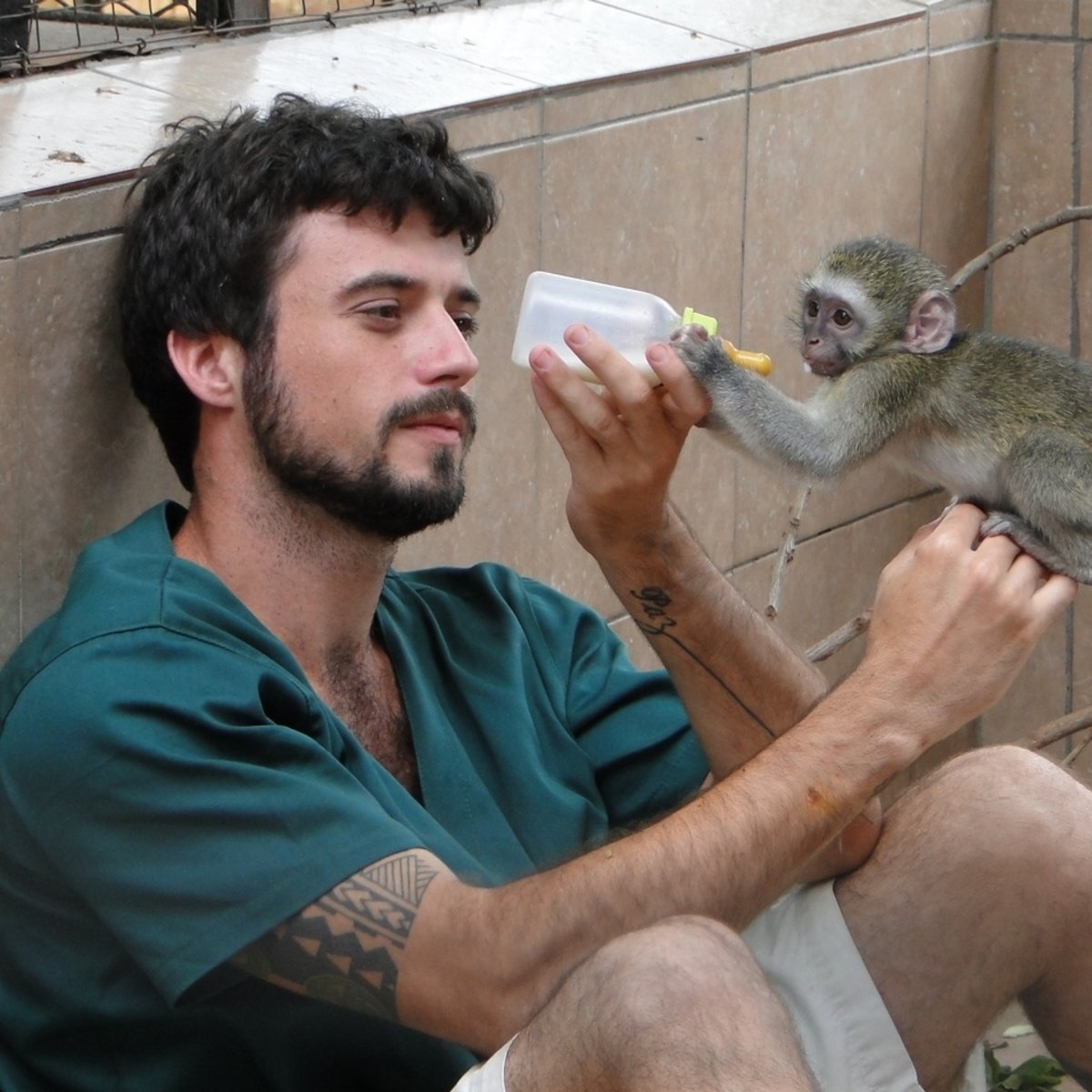 Volunteer hand-feeding a baby Tzaneen monkey in South Africa