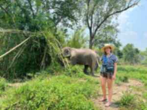 Traveller standing in front of Elephant in Elephant Sanctuary in Chiang Mai, Thailand