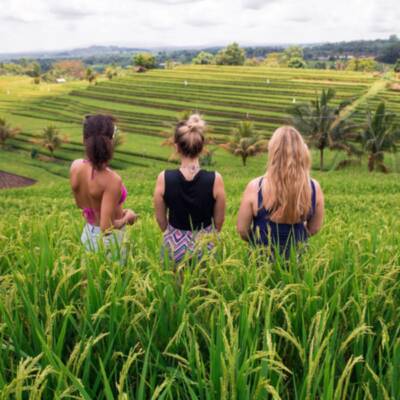 Bali and Komodo Adventure - 3 girls in rice terraces