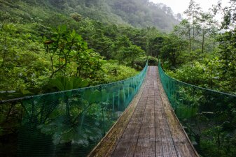 Bridge in jungle in Costa Rica