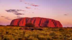 A bright red Uluru with a purple and pink sunsetting sky