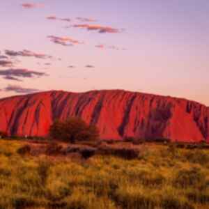 A bright red Uluru with a purple and pink sunsetting sky