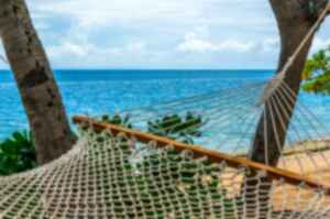 A hammock in a tree overlooking the ocean