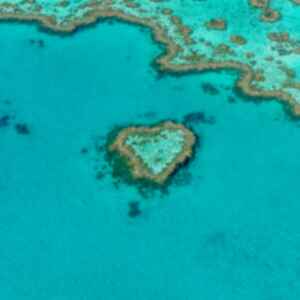 Birds eye view of Heart Reef in Whitsunday Islands, Australia