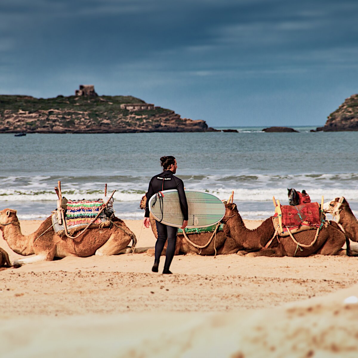 man walking on beach with camels