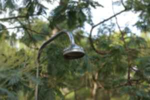 A shower head outdoors in branches of a tree