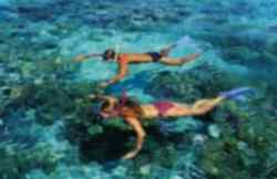 Snorkelling in Greece