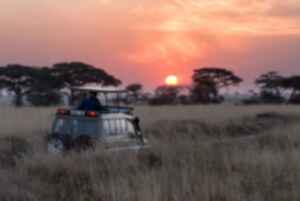 Man riding in grey car at sunset through the Serengeti