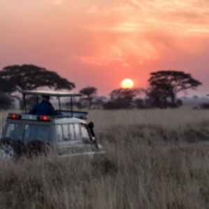 Man riding in grey car at sunset through the Serengeti