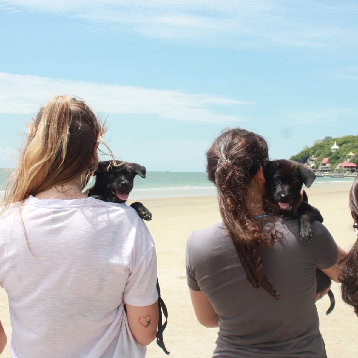 People holding puppies on beach in Thailand