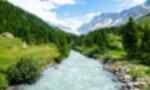 A heavy flowing river, trees and the Swiss alps