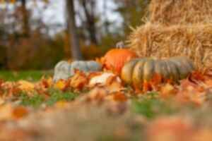 Pumpkins next to a hay bale and surrounded by autumnal leaves