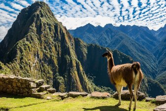 Peru Trips & Tours