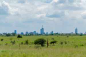 Giraffe in Nairobi National Park with backdrop of Nairobi city, capital of Kenya