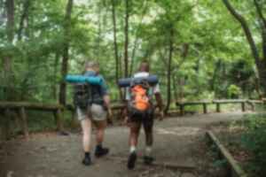 Two people walking with backpacks in the woods