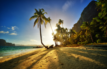 Philippines beach with palm trees at sunset