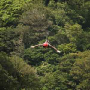 Traveller ziplining in Montverde Cloud Forest, Costa Rica 