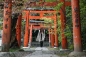 Traveller exploring shinto shrine in Japan