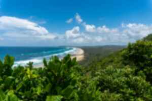 A Byron Bay beach surrounded by dense greenery