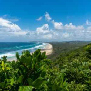 A Byron Bay beach surrounded by dense greenery