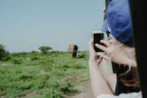 Traveller taking a photo of an elephant in South Africa 