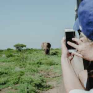 Traveller taking a photo of an elephant in South Africa 